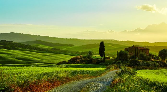 Всемирный день окружающей среды