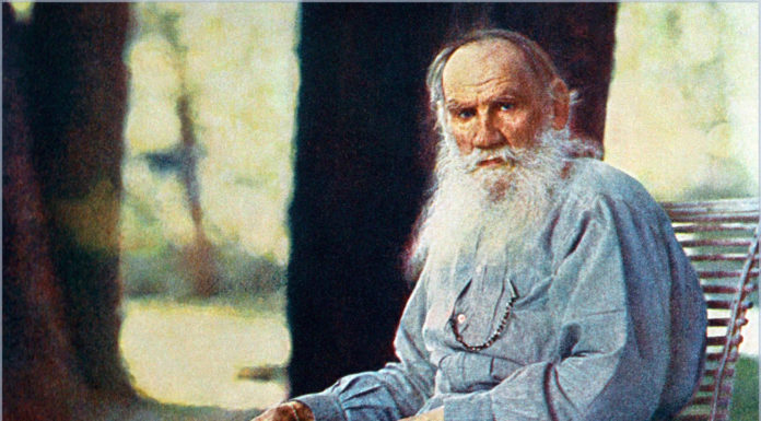 Толстовцы и толстовки