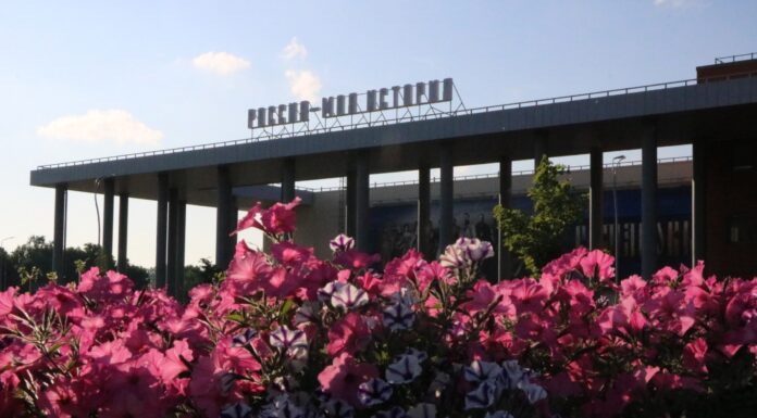 В России запускается тематический год Петра I