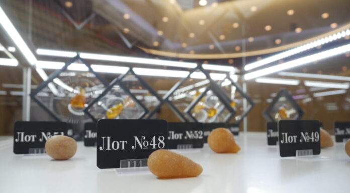 AmberForum 2022: в Светлогорске подвели итоги