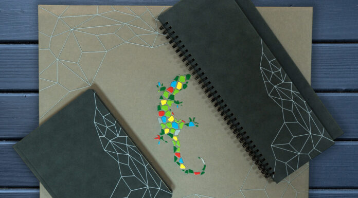 Подарочный набор «Хамелеон»