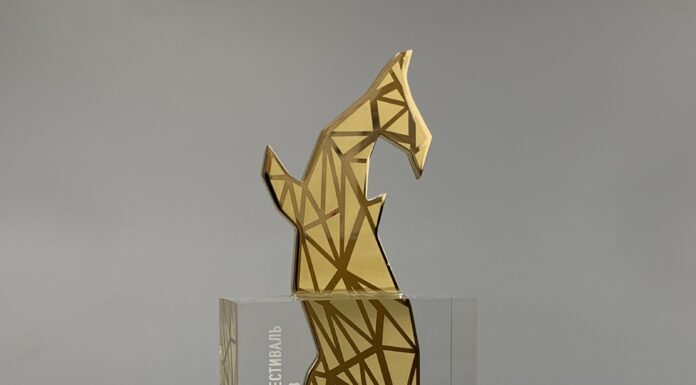 Кубок «Кит»