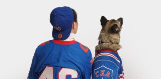 «Твой друг в игре!»: спортэкипировка для собак ХК СКА