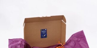 Полезный набор для детей младшей школы