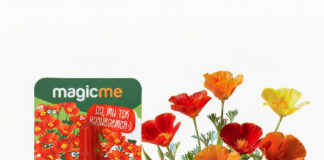 Незабудка и эшшольция в новых коллекциях Profmagic