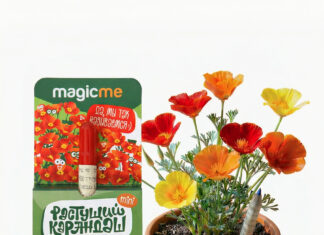 Незабудка и эшшольция в новых коллекциях Profmagic