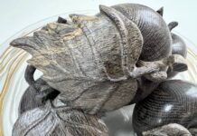 Можно ли разгадать собственную тайну, познакомившись с морёным дубом?